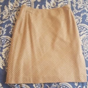 Ann Taylor Skirt